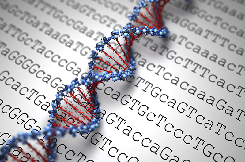 DNA PATERNIDADE - TESTE DE DNA